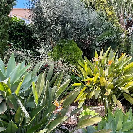 Entire With Pool Sea And Mountain Views Villa Sitges